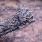 Avicularia Peru Purple - Jurensis pink toe
